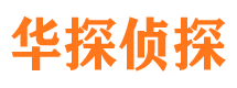 东方市侦探公司